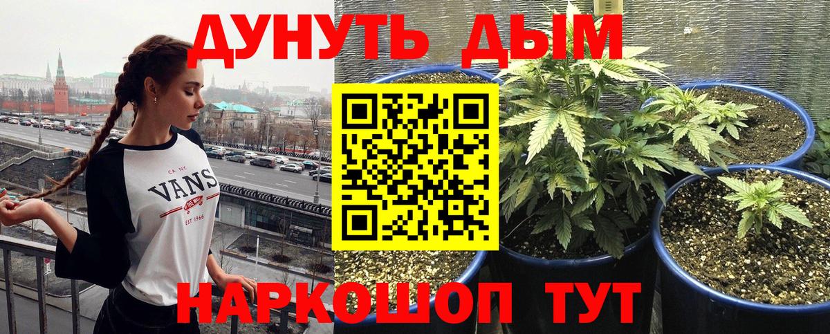 Волгодонск  Шишки марихуана VHQ  Вход с VPN  Марихуана марихуана 